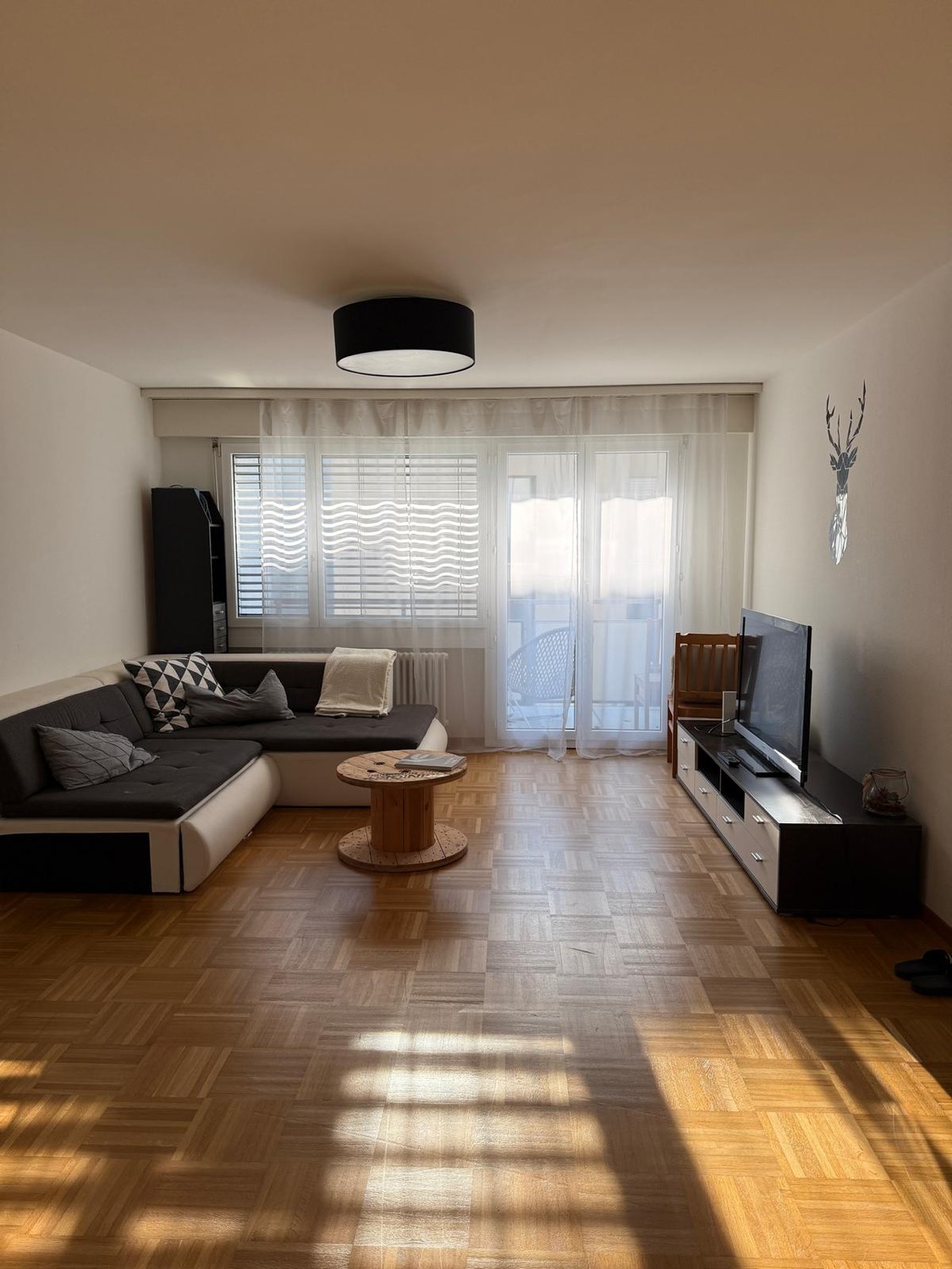 Room in a shared flat