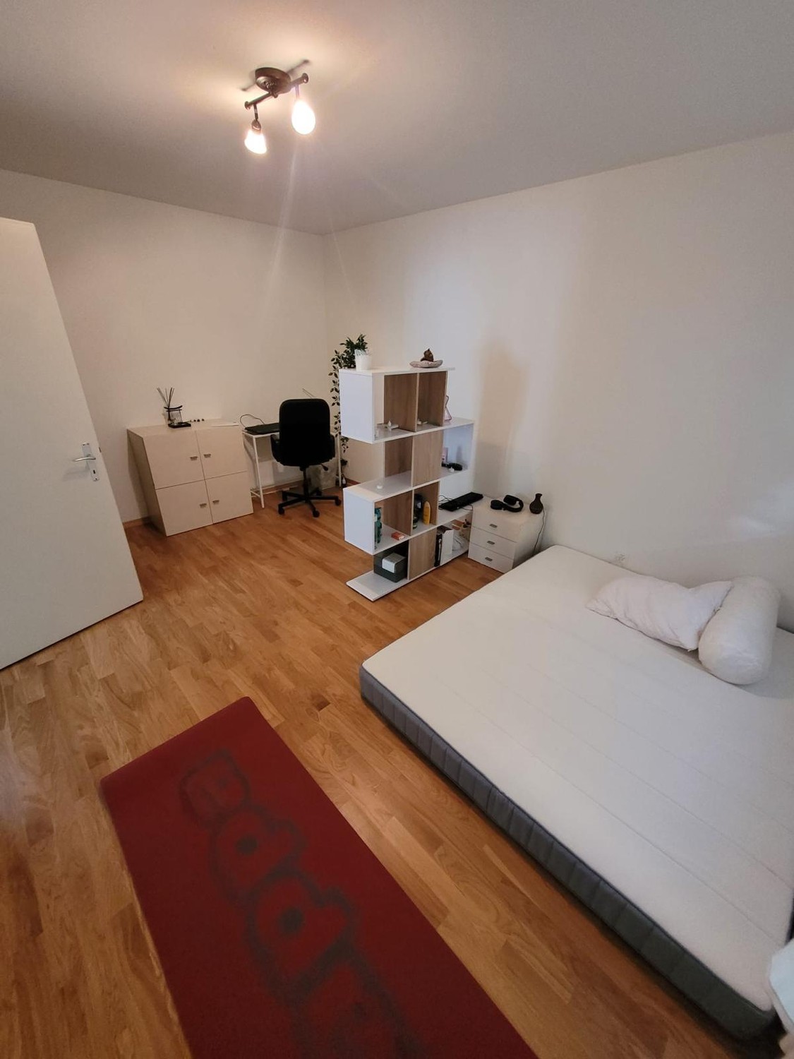 Room in a shared flat