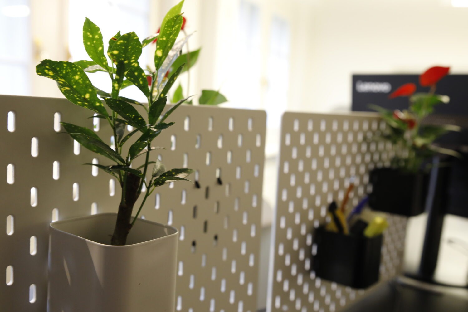 Office, photo 8 of 10