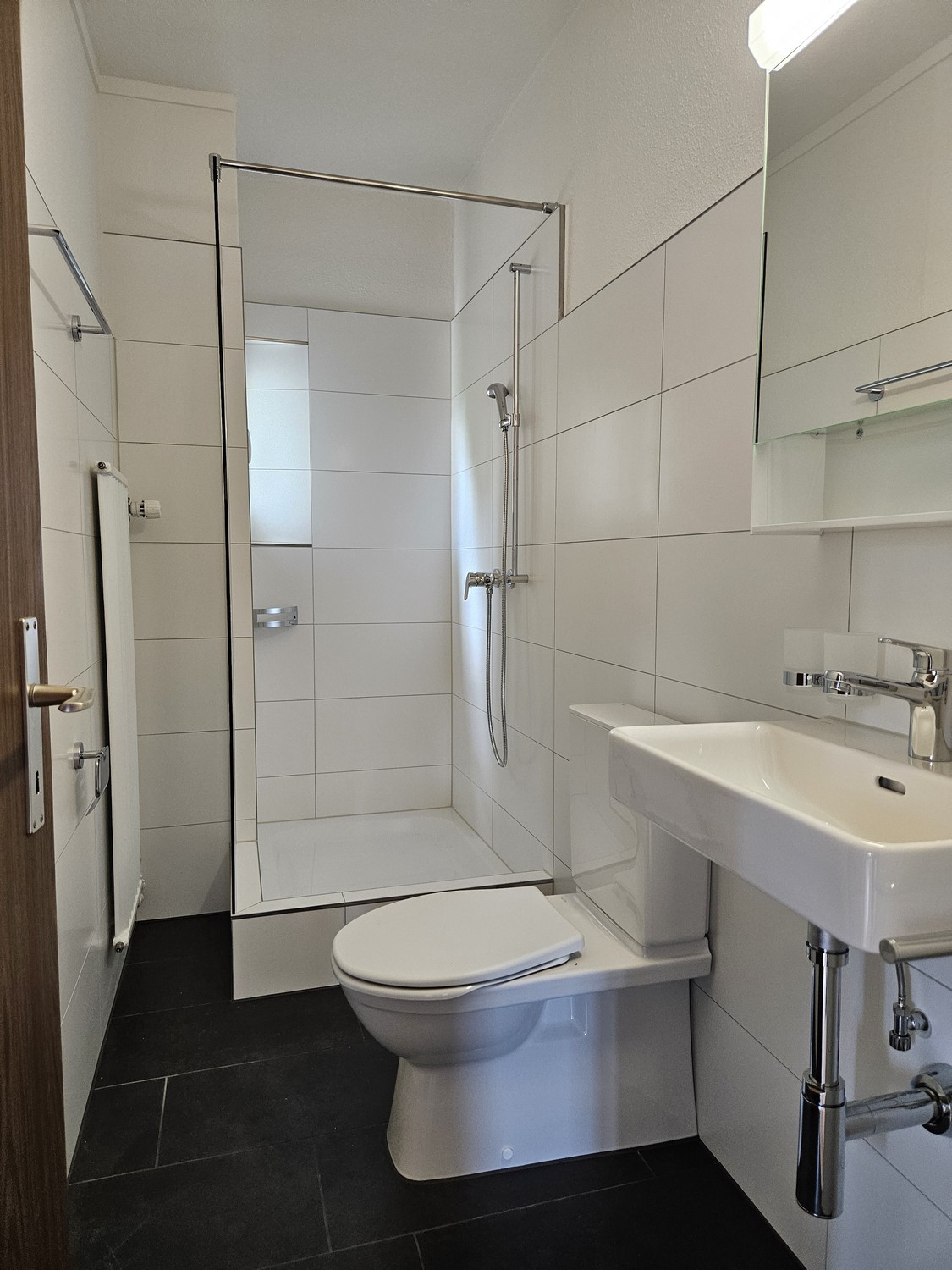 Appartement de 1 ½ pièces