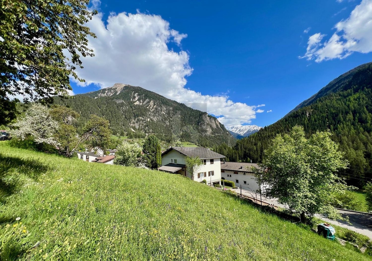 800m² building land, photo 1 of 3