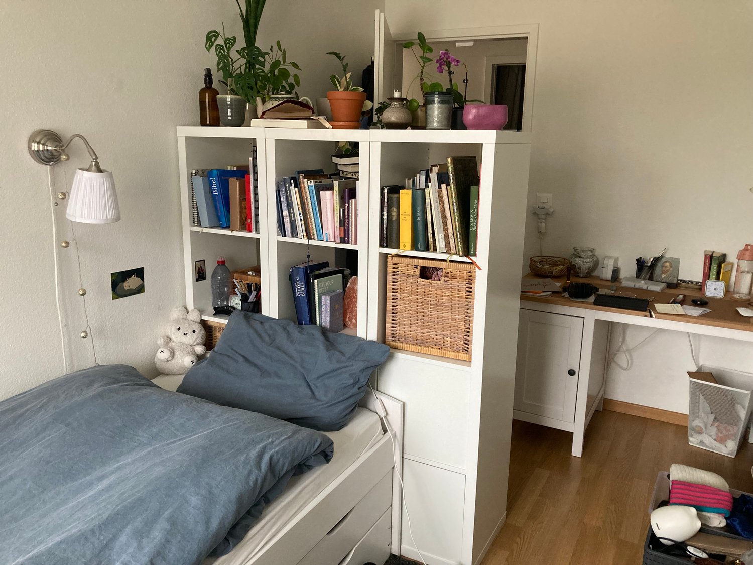 Room in a shared flat