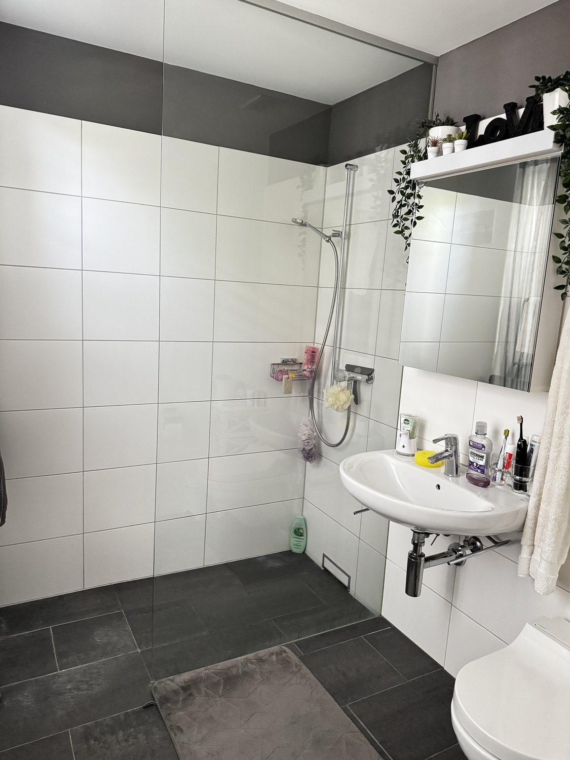 5 ½ rooms apartment, photo 10 of 10