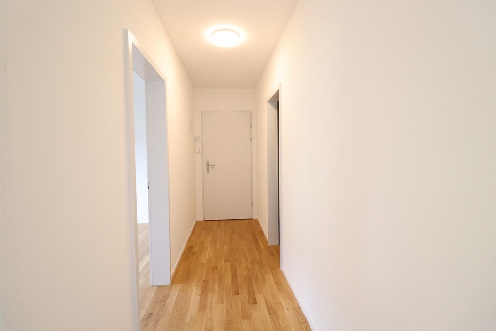 1 rooms apartment