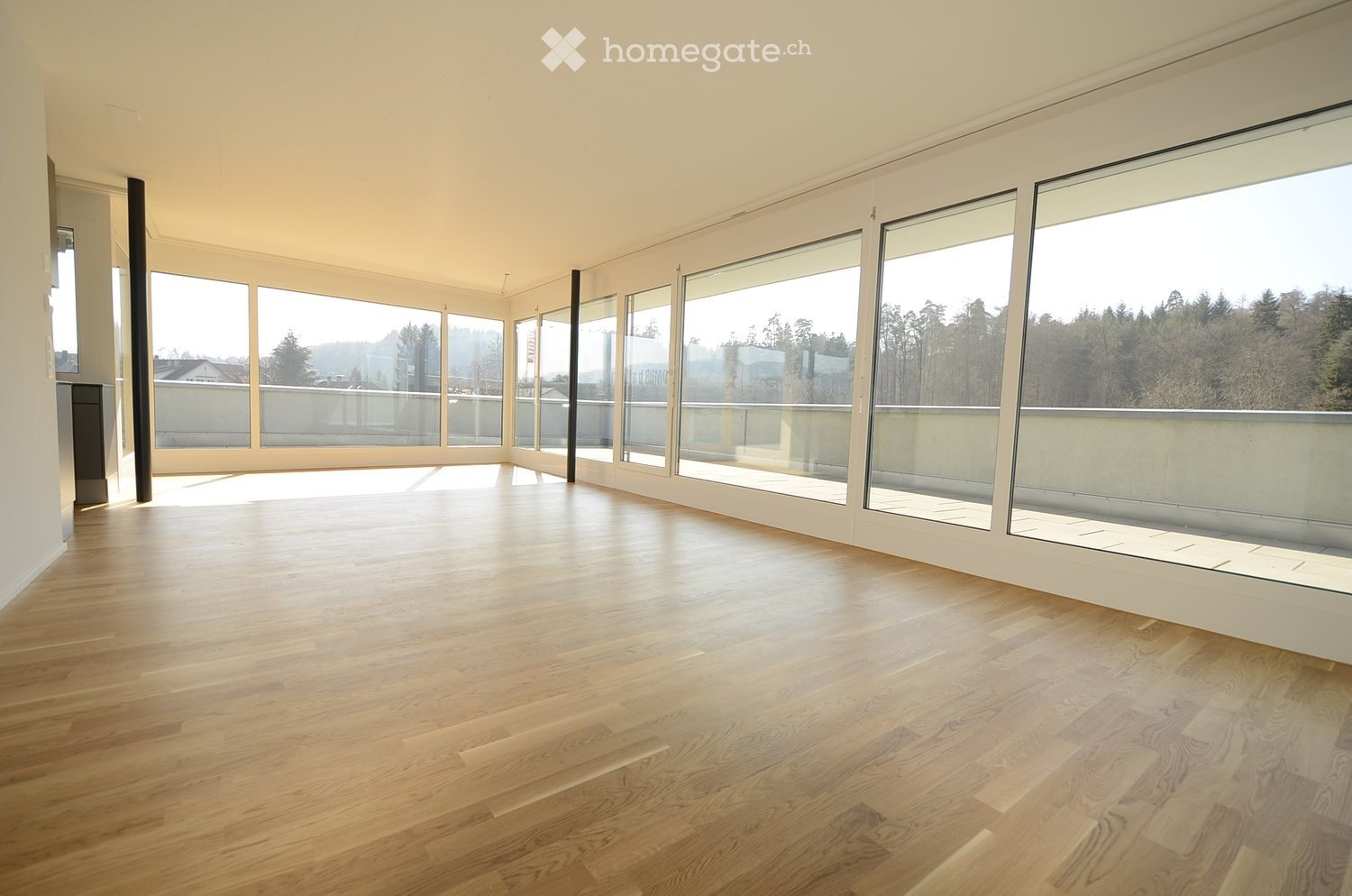 4 ½ rooms apartment
