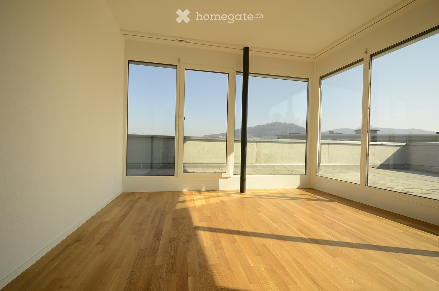 4 ½ rooms apartment