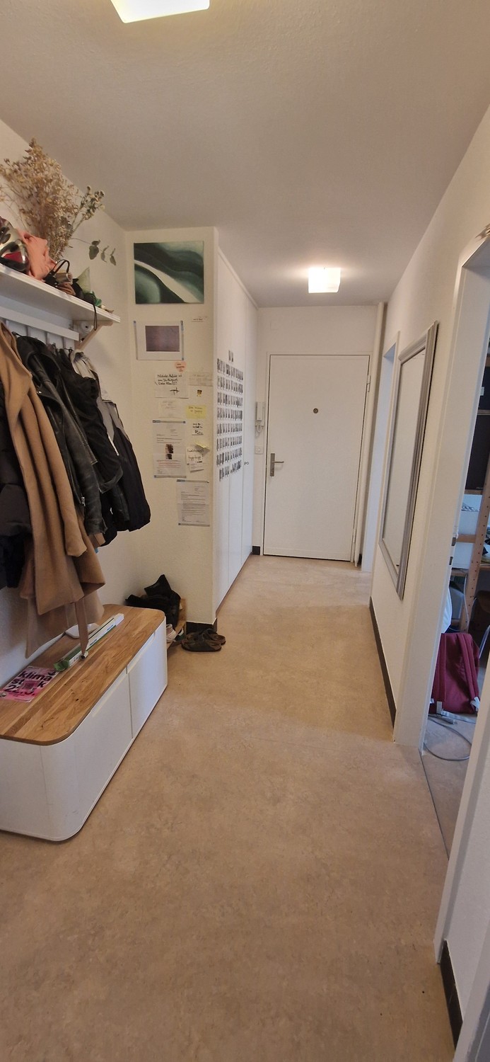 3 rooms apartment (4)