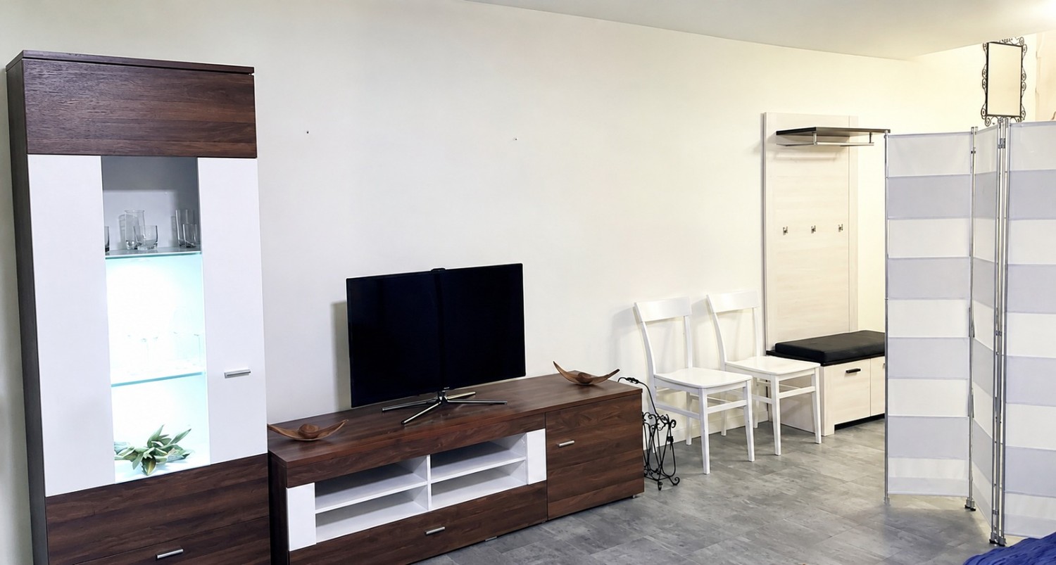 1 ½ rooms furnished flat, photo 3 sur 10