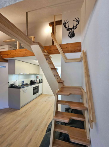 loft 3 pièces