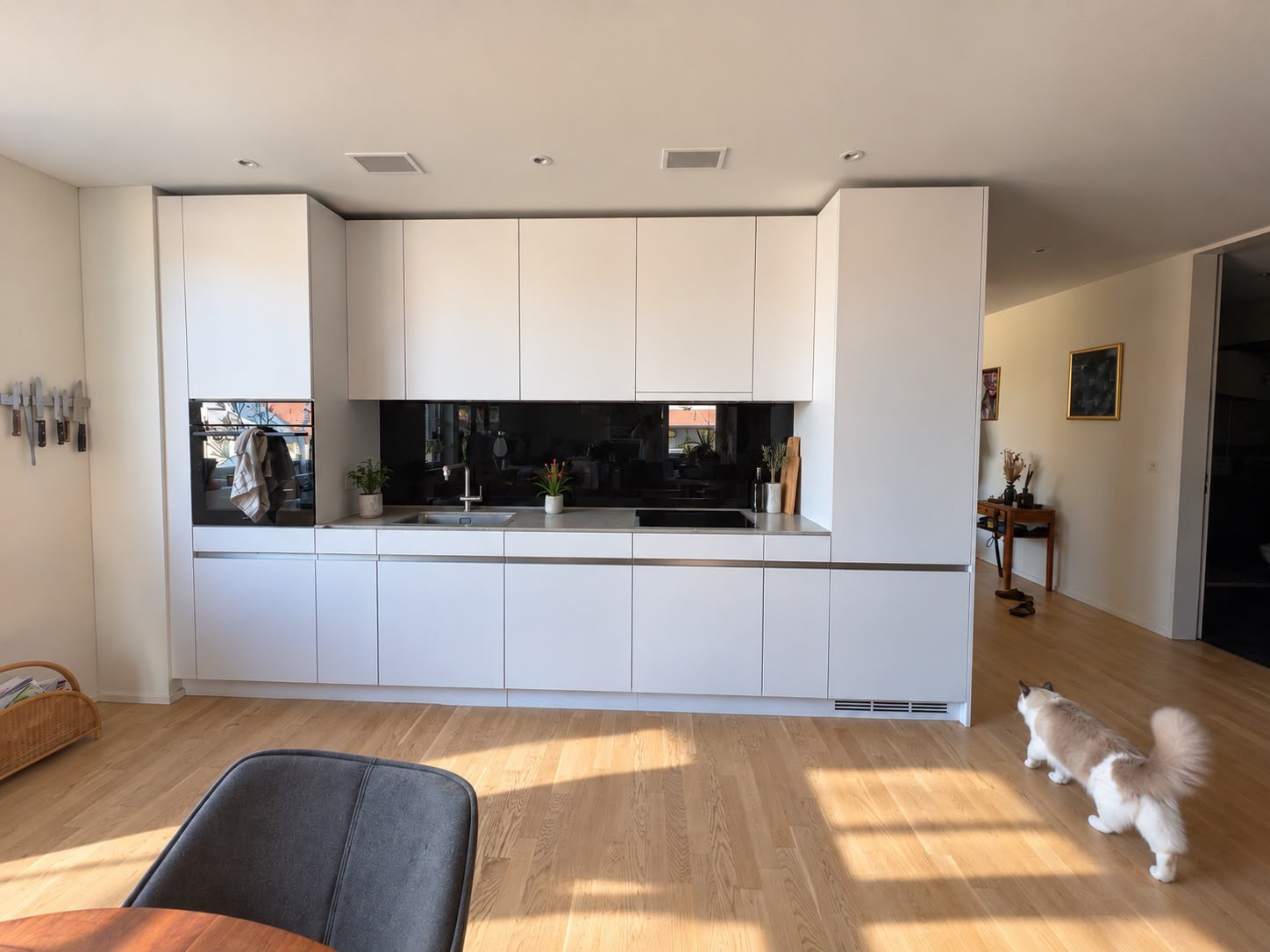 Appartement de 3 ½ pièces
