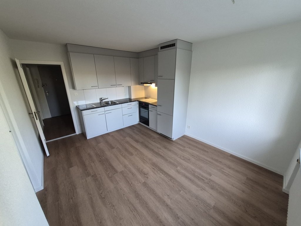 2 ½ room apartment