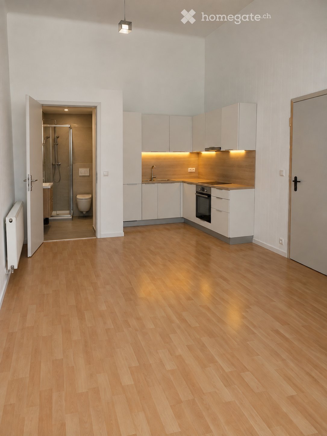 1 room apartment, photo 2 of 2