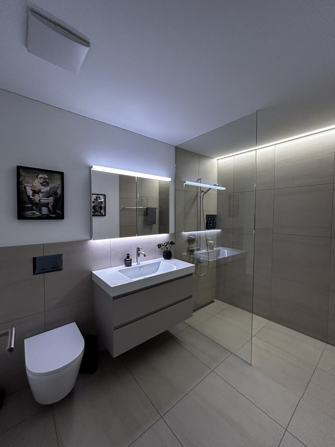 3 ½ room apartment