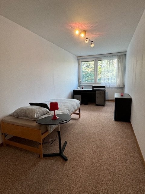 1 room single room
