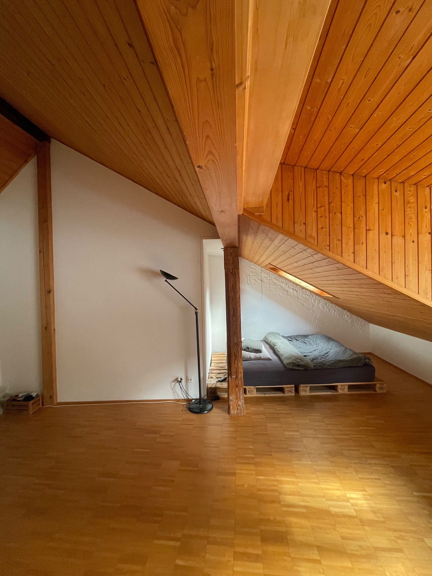 Room in a shared flat