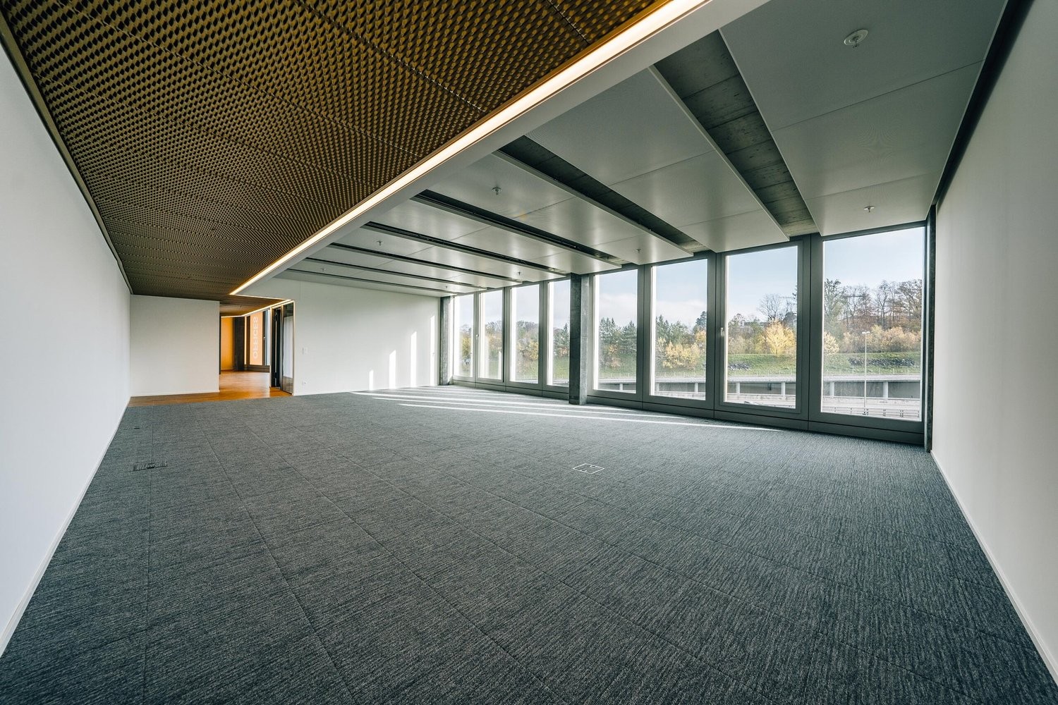 245m² office, photo 5 of 5