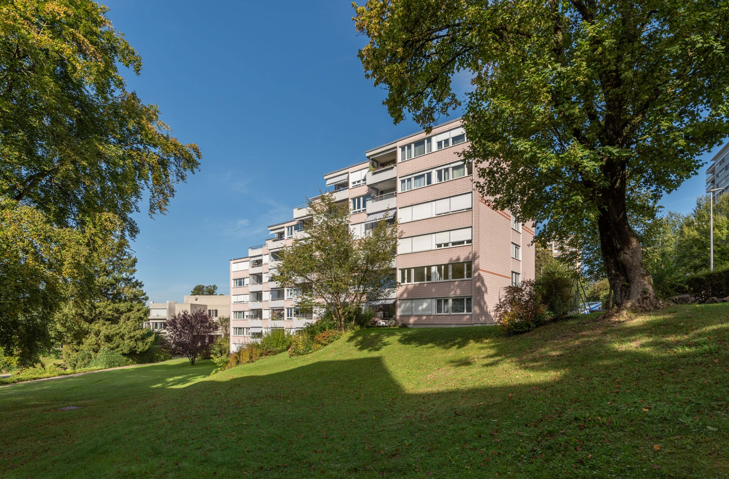 1 pièce appartement