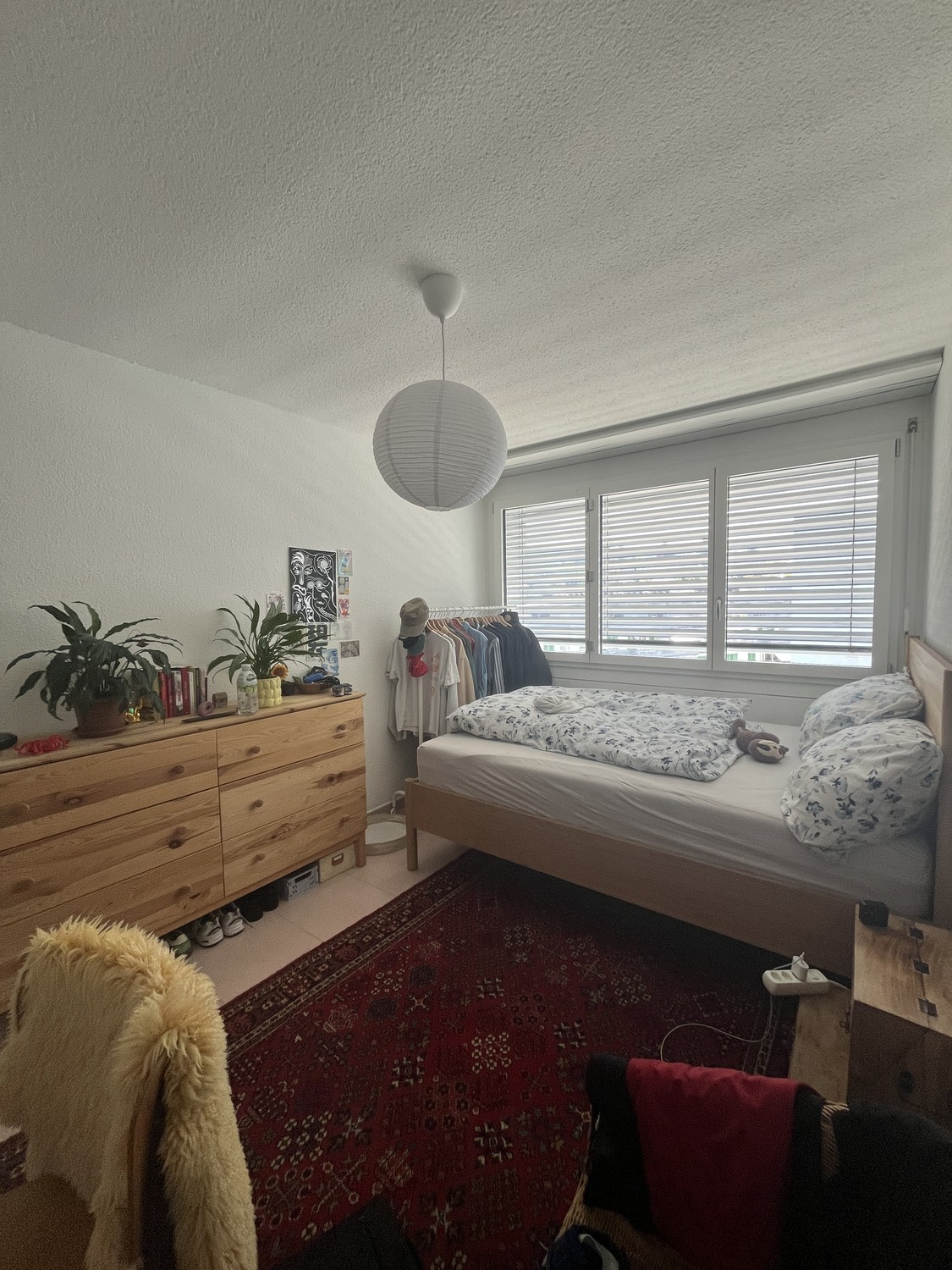 Chambre dans une colocation