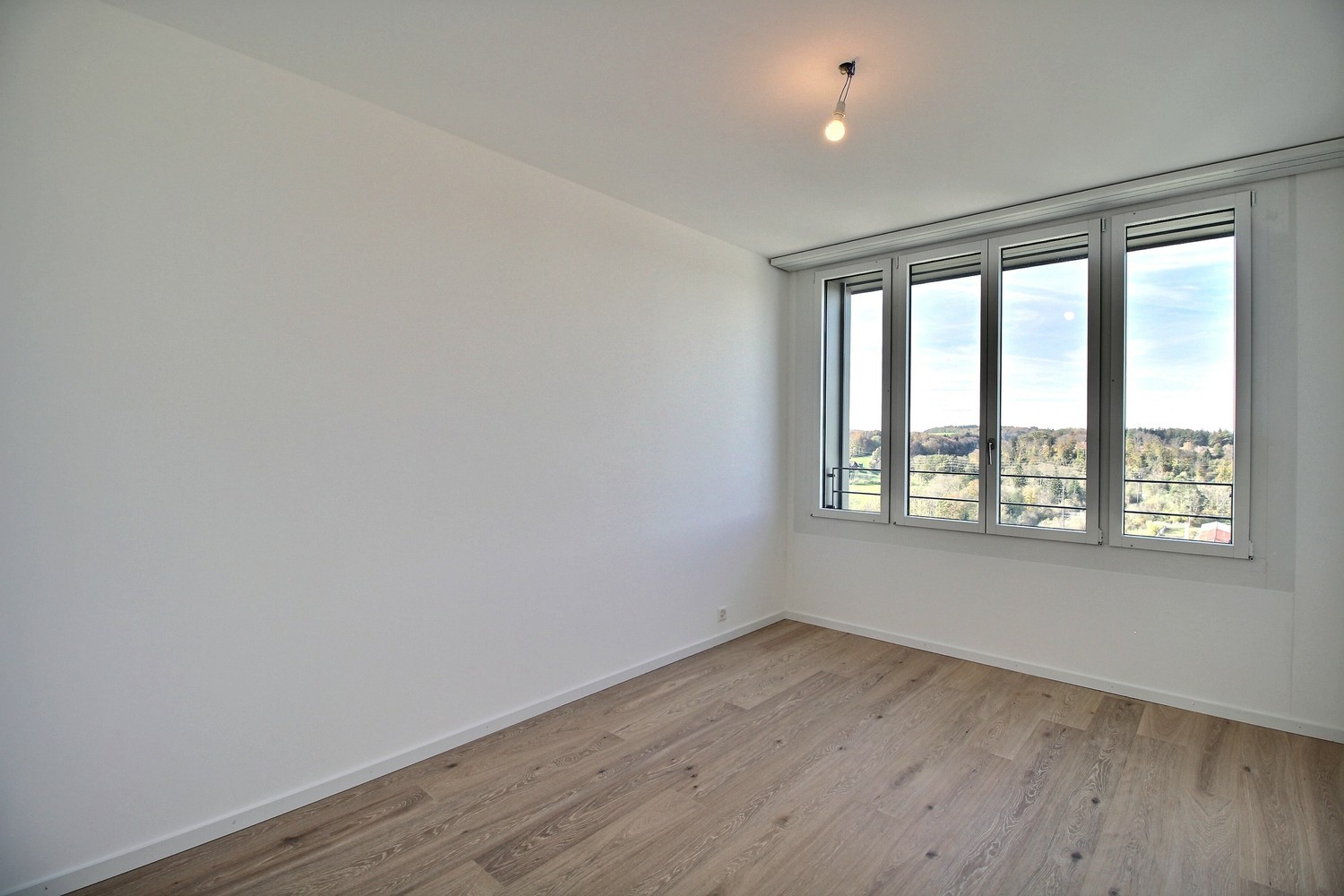 5 ½ Zimmer-Wohnung