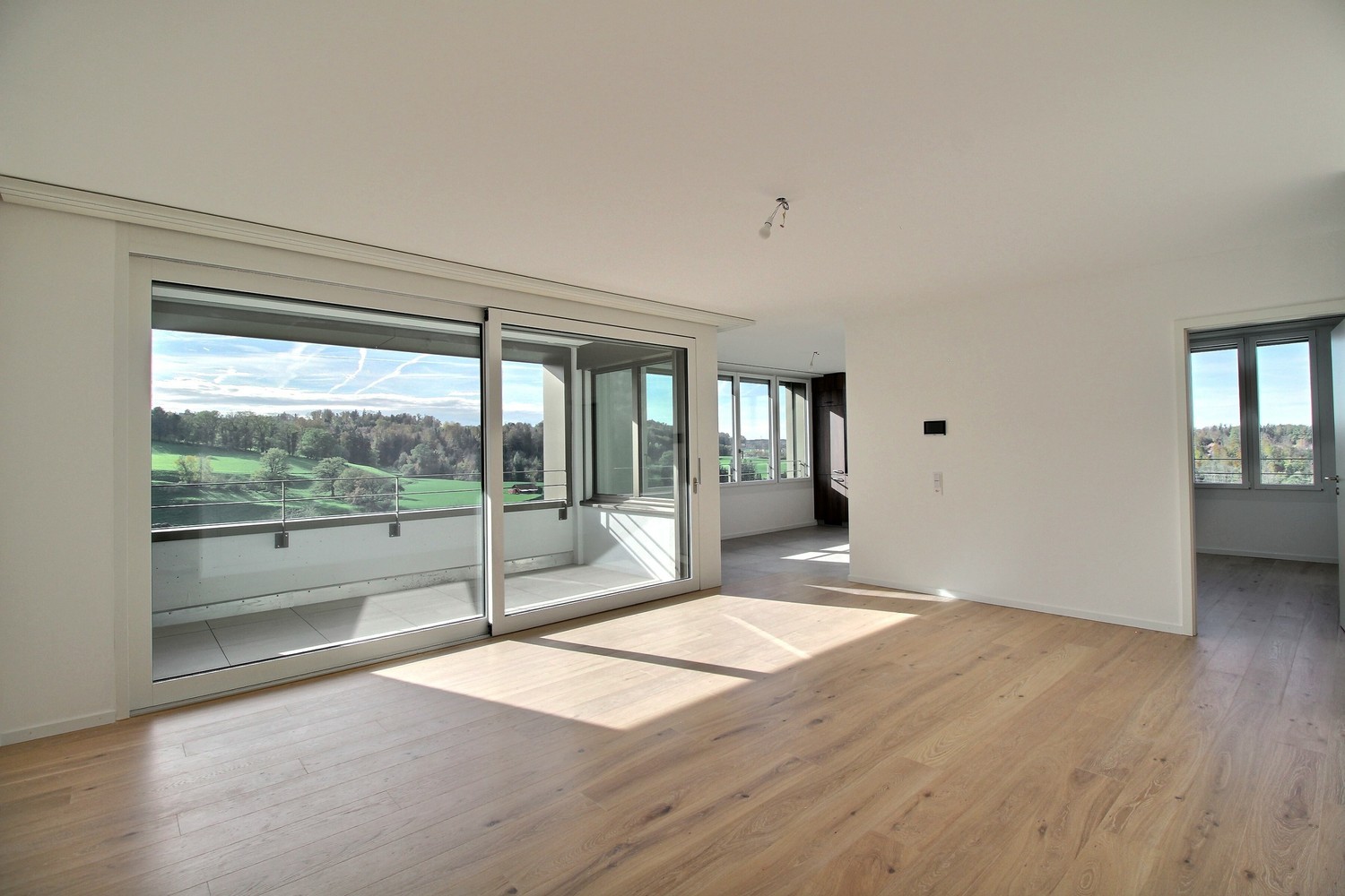 5 ½ Zimmer-Wohnung