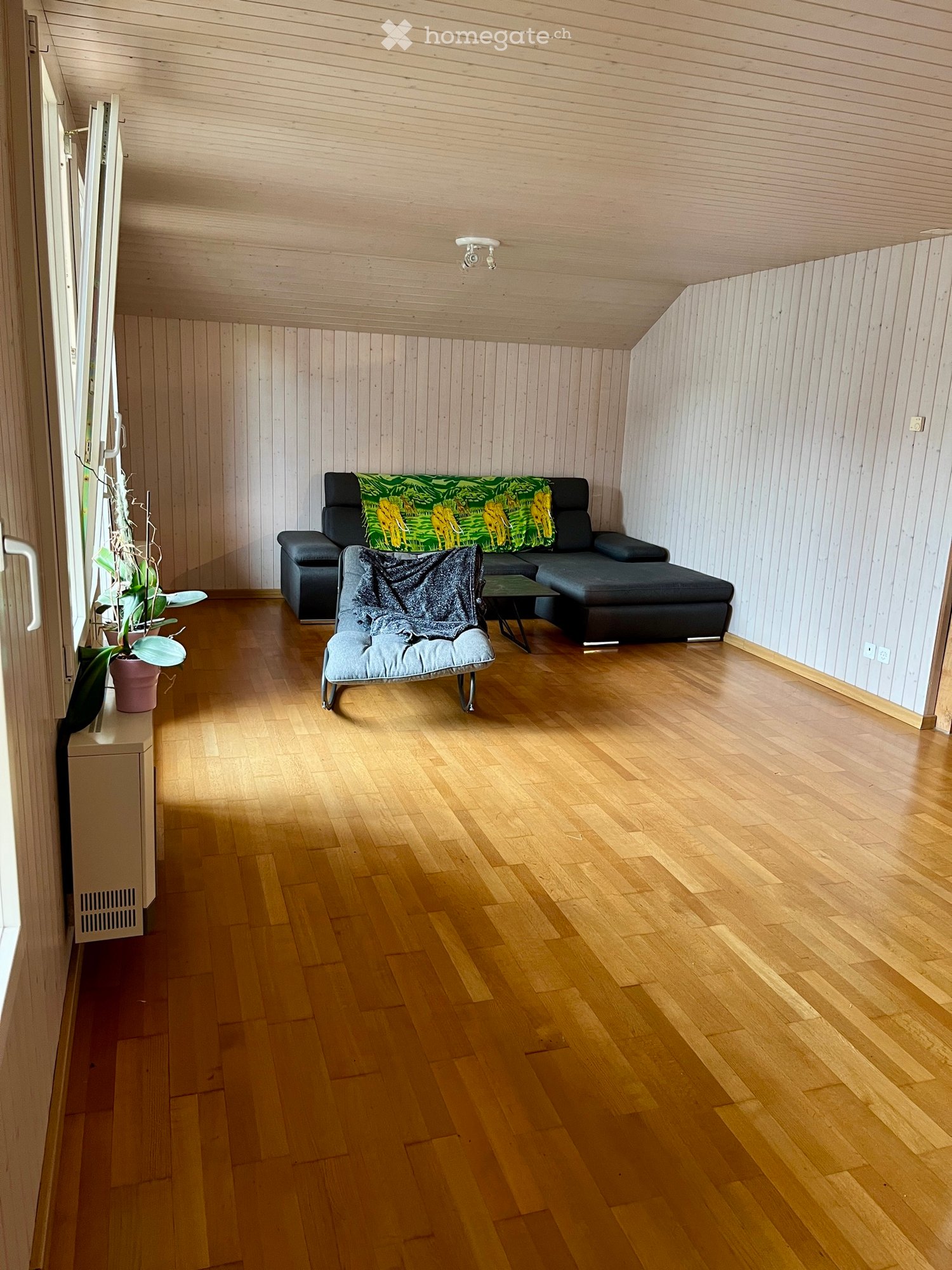 appartement 1 pièce