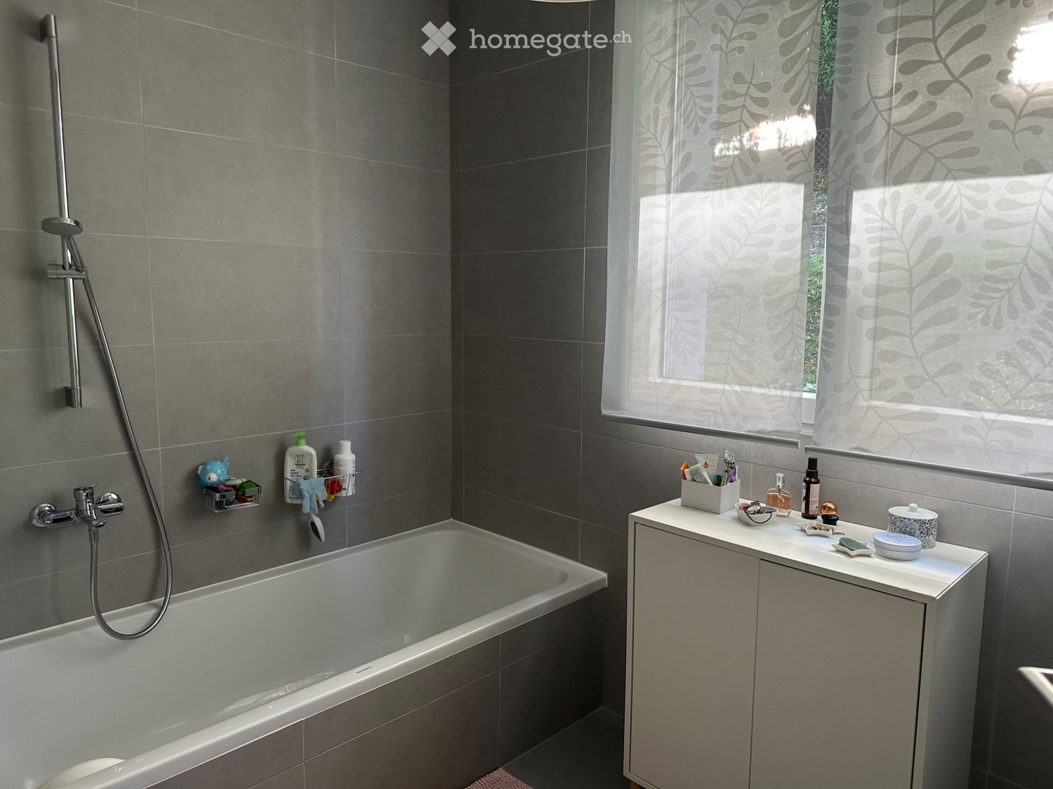 4 ½ Zimmer Wohnung
