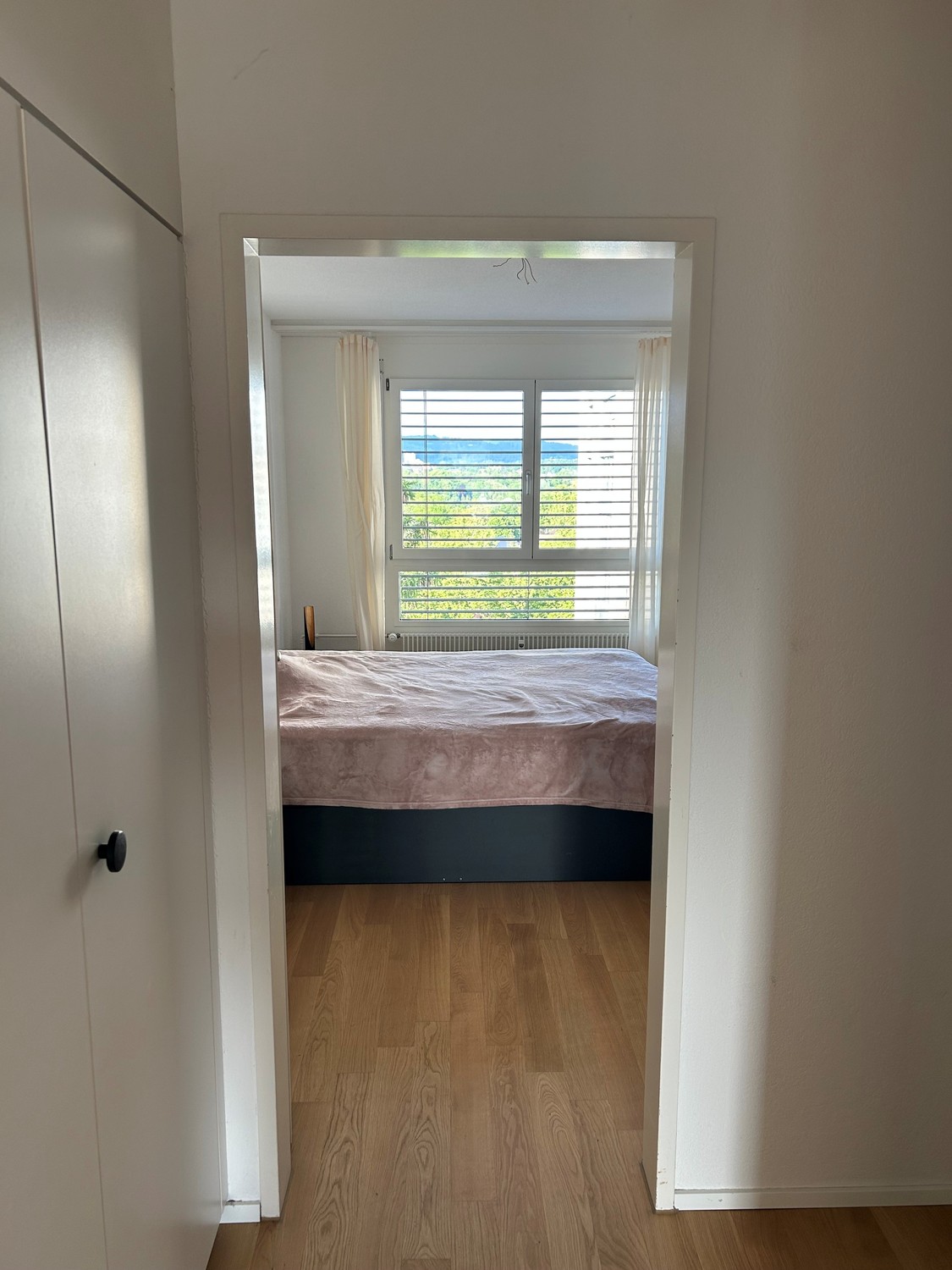 Room in a shared flat