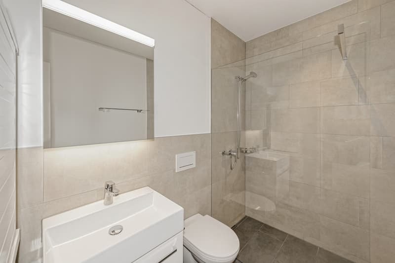 Appartamento di 5 ½ locali