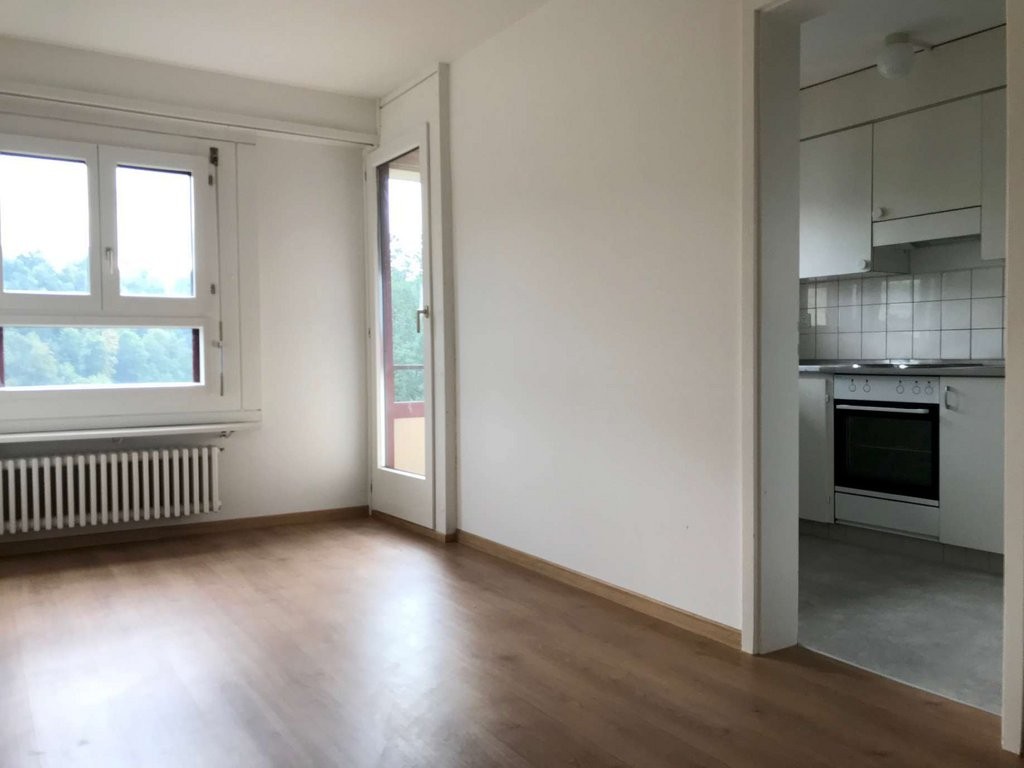3 ½ rooms duplex