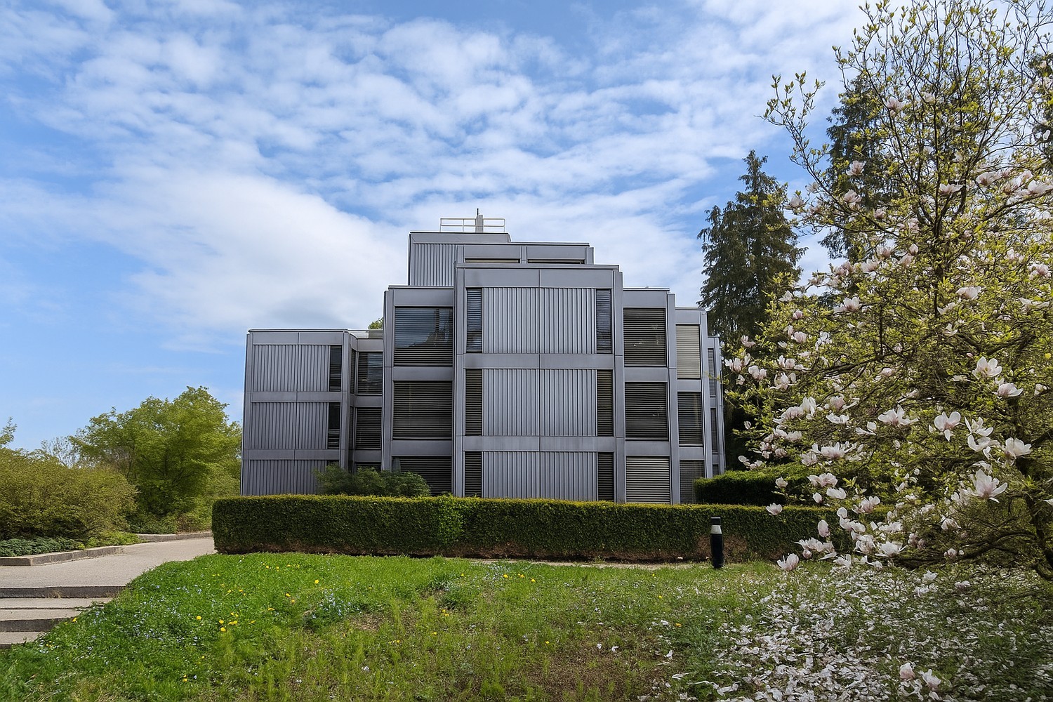 1807m² office, photo 7 of 7
