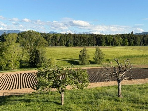Appartamento di 2 ½ locali