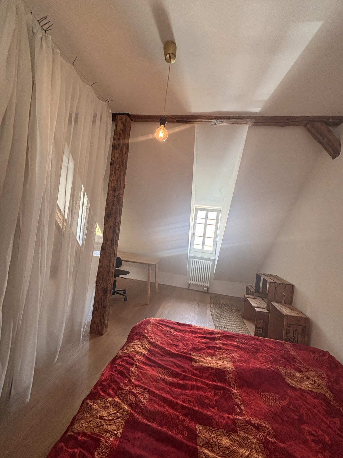 Room in a shared flat