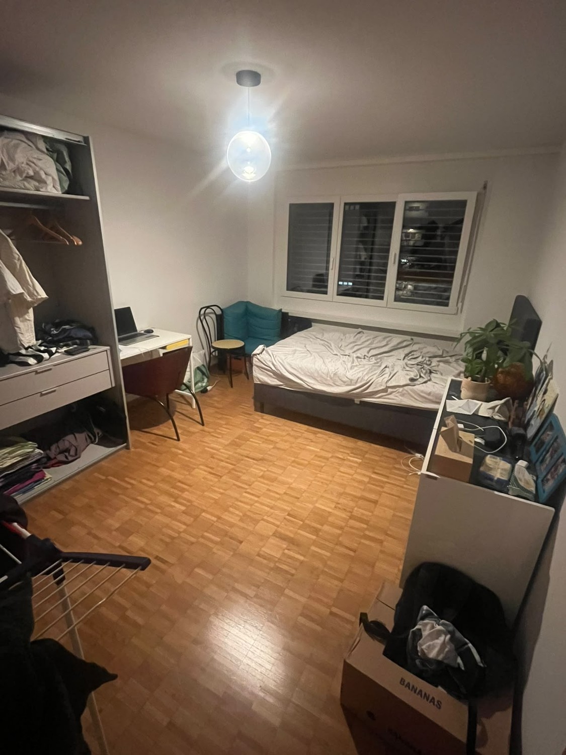 Room in a shared flat