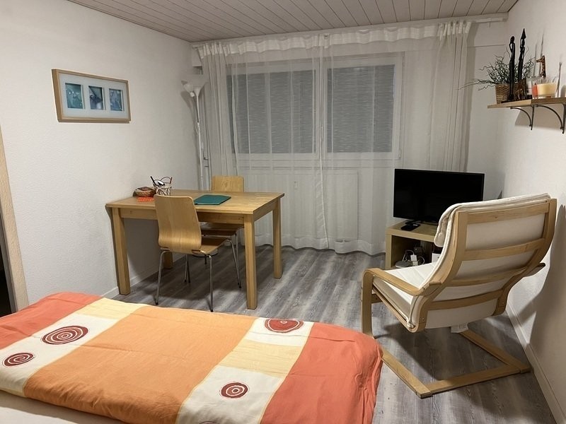 appartamento con 1 locale arredato