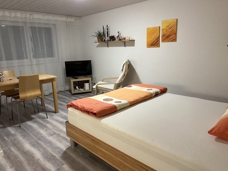 appartamento con 1 locale arredato