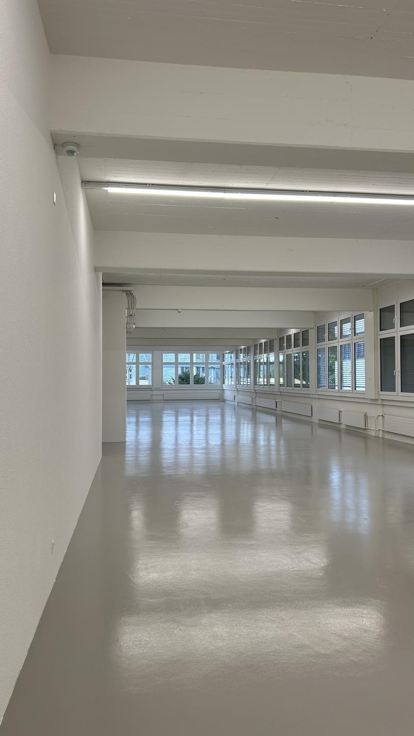 350m² commercial