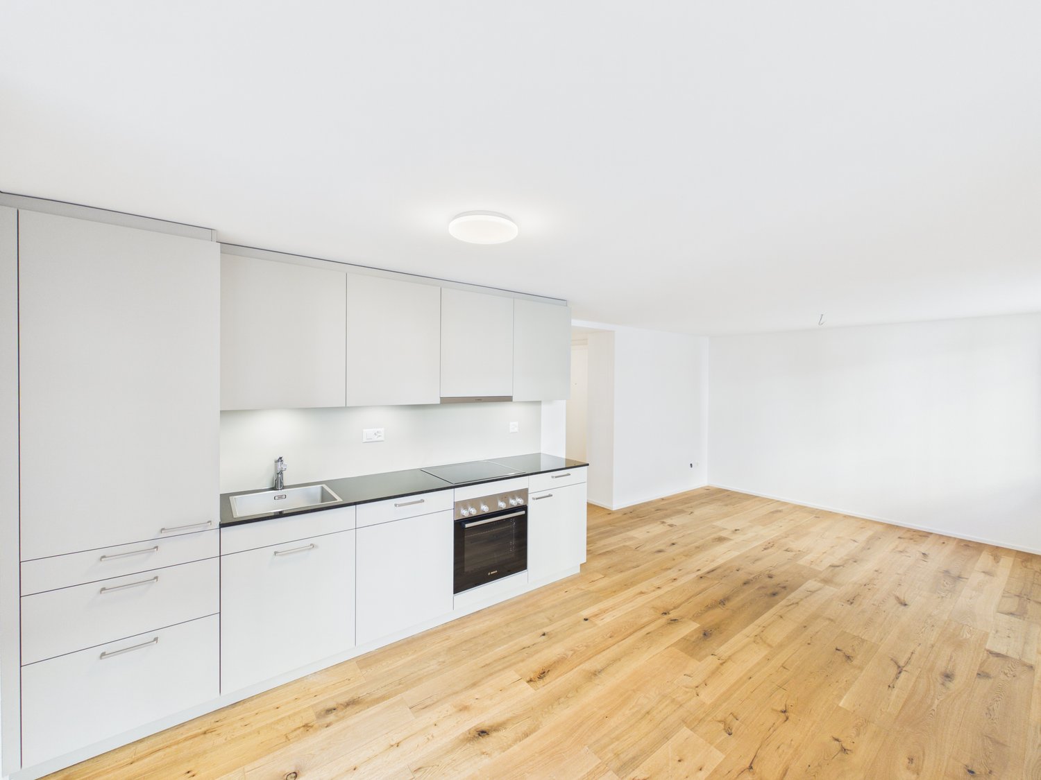 Appartement de 3 ½ pièces