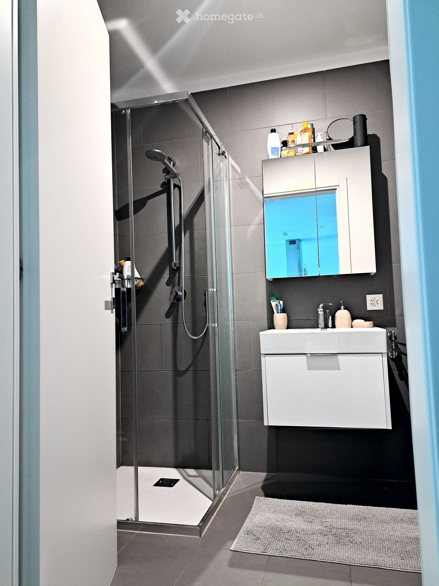 Appartement de 2 ½ pièces