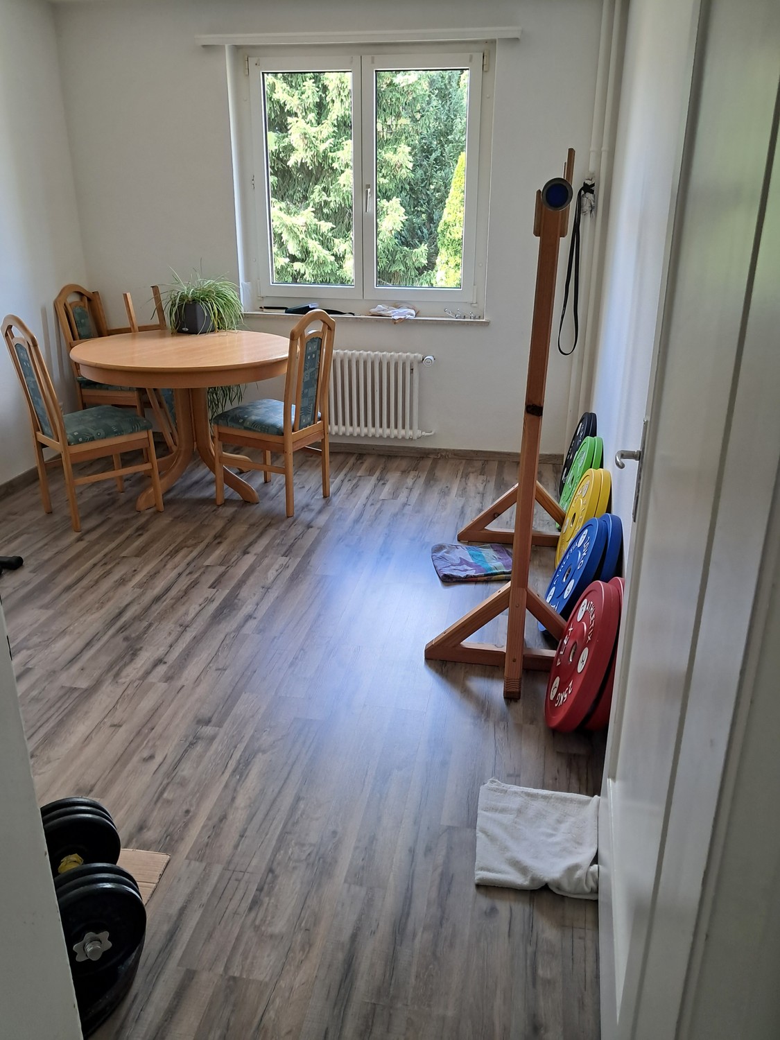 Room in a shared flat