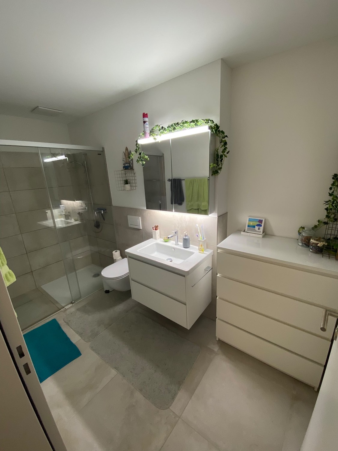 2 ½ rooms apartment