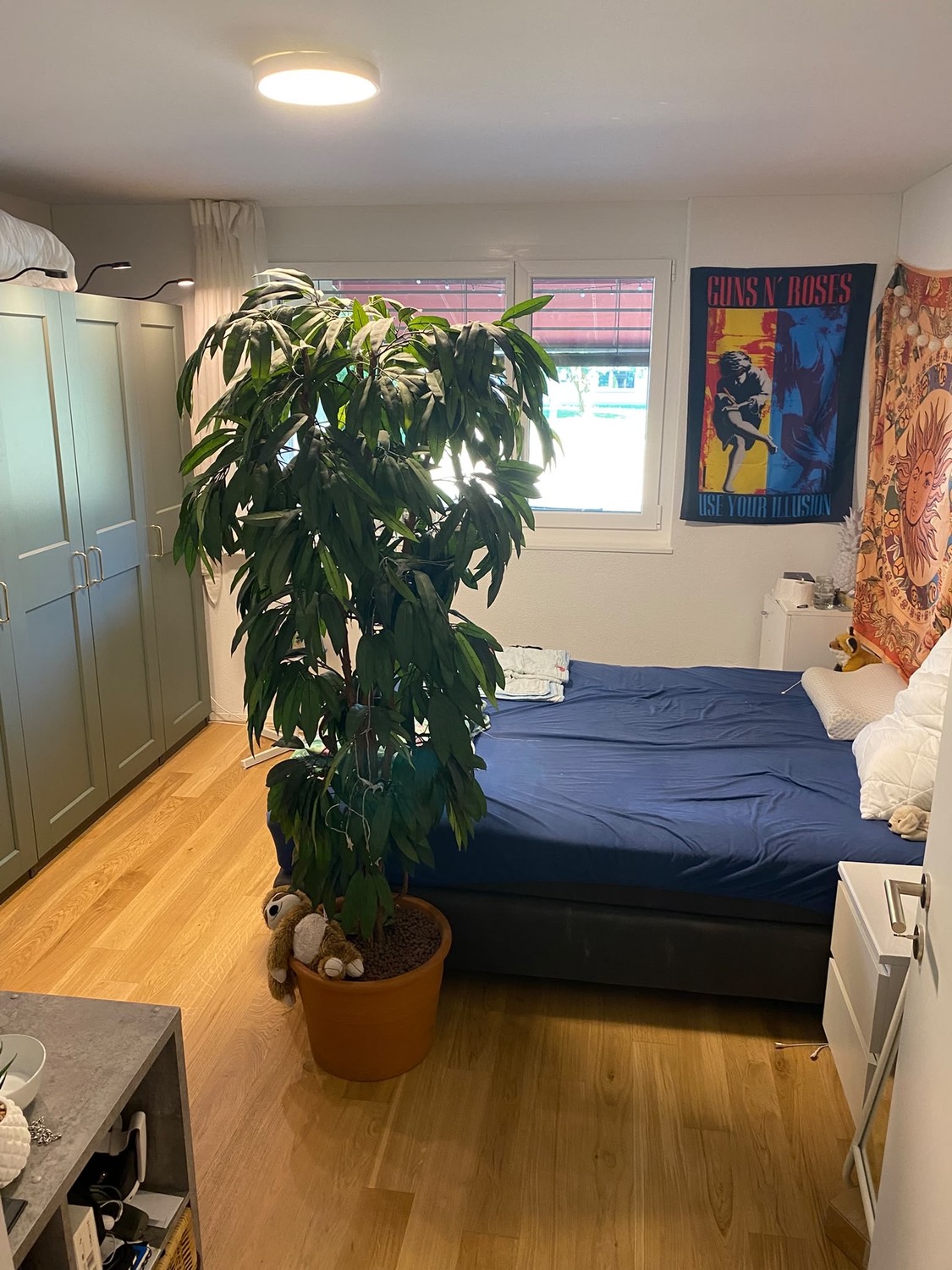 2 ½ rooms apartment