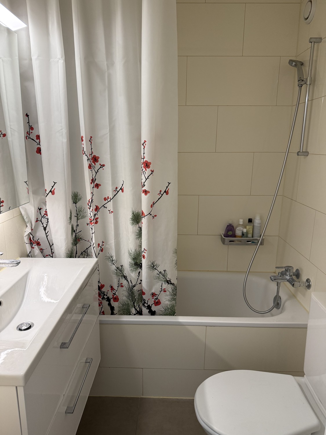 1 ½ rooms apartment