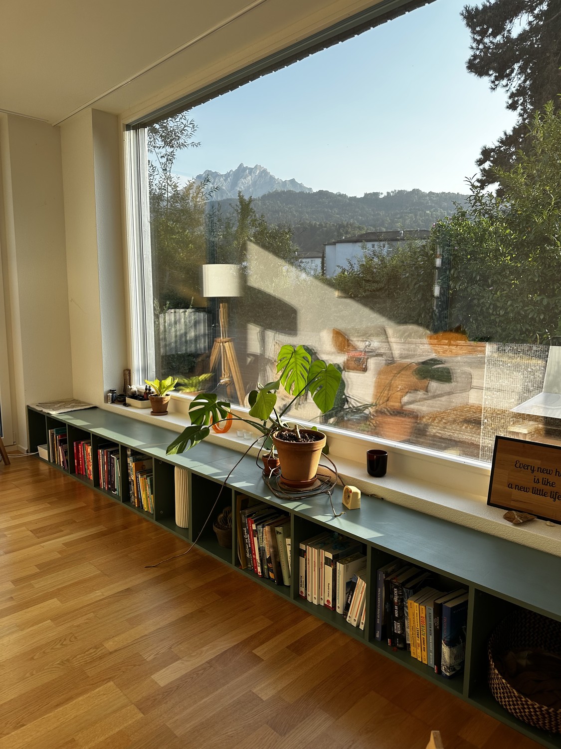Room in a shared flat
