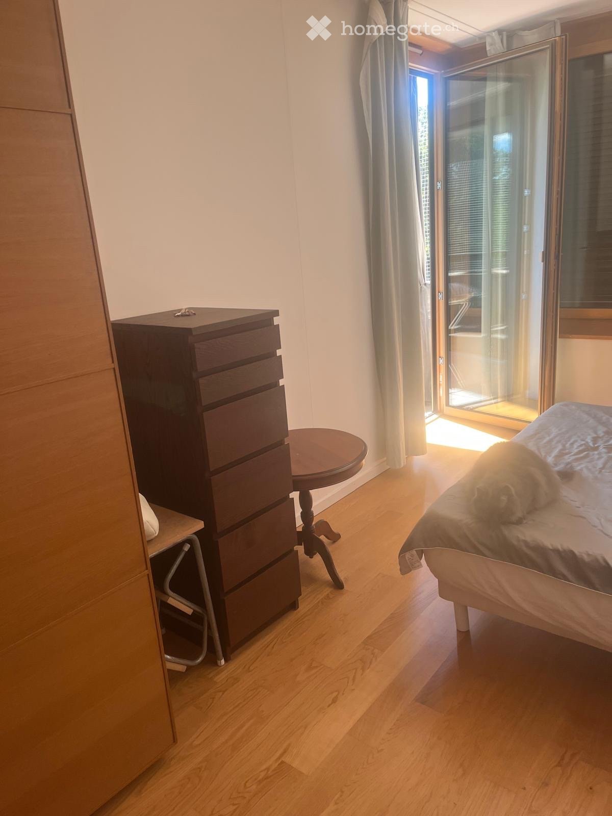 1 Zimmer Einzelzimmer