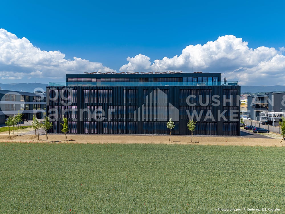 295m² commercial, photo 7 of 10