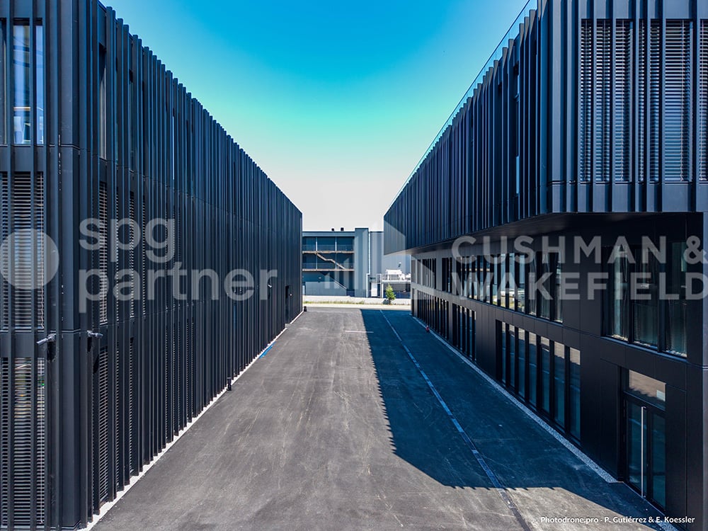 295m² commercial, photo 8 of 10