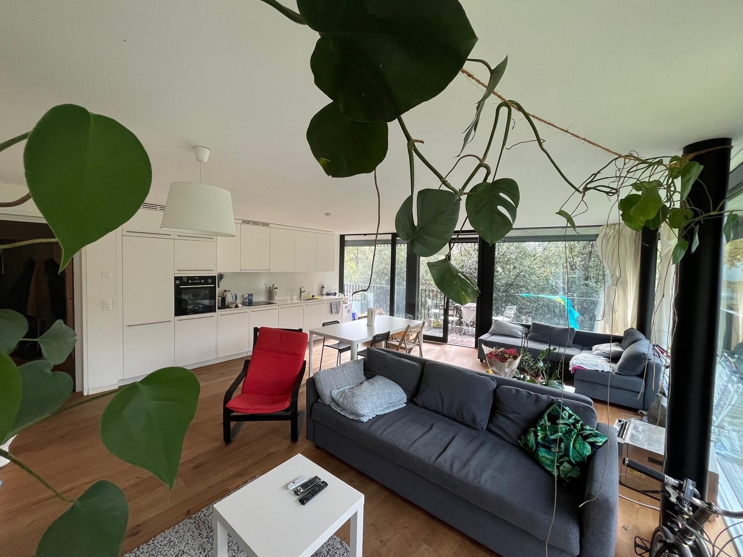 Room in a shared flat