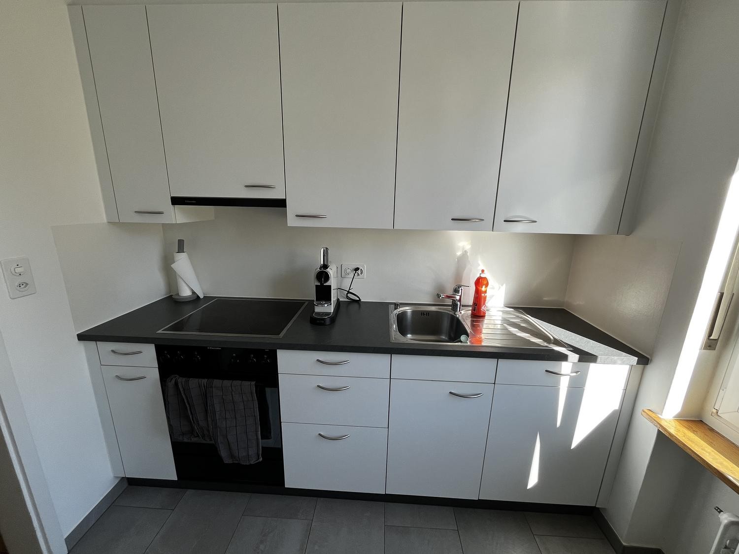 appartement 1 pièce
