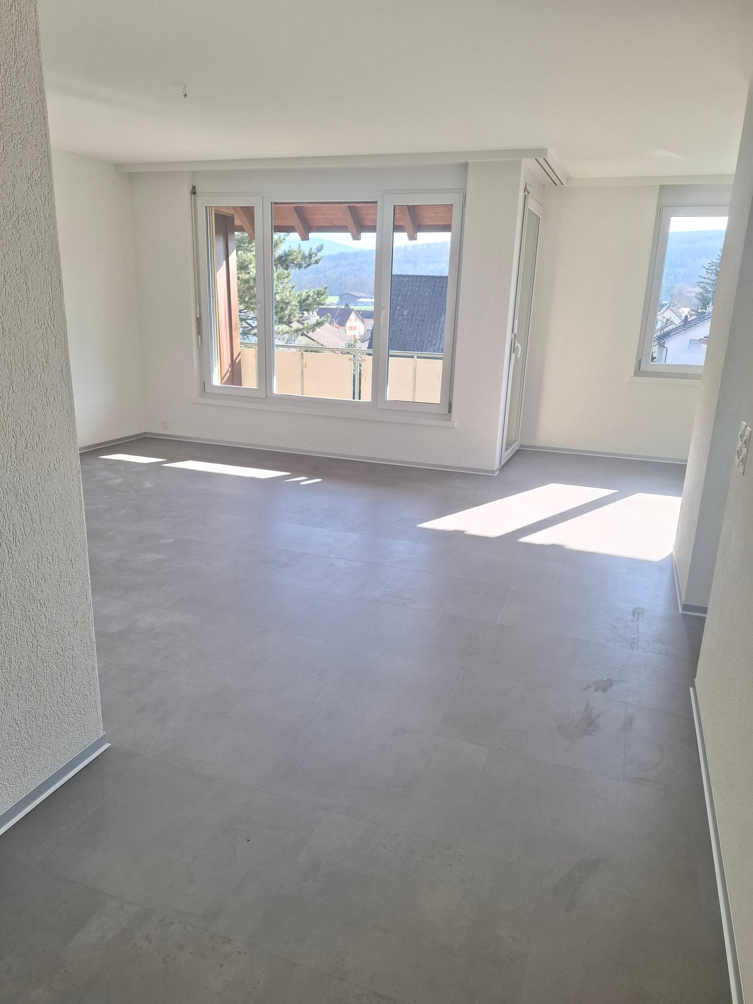4 ½ rooms apartment