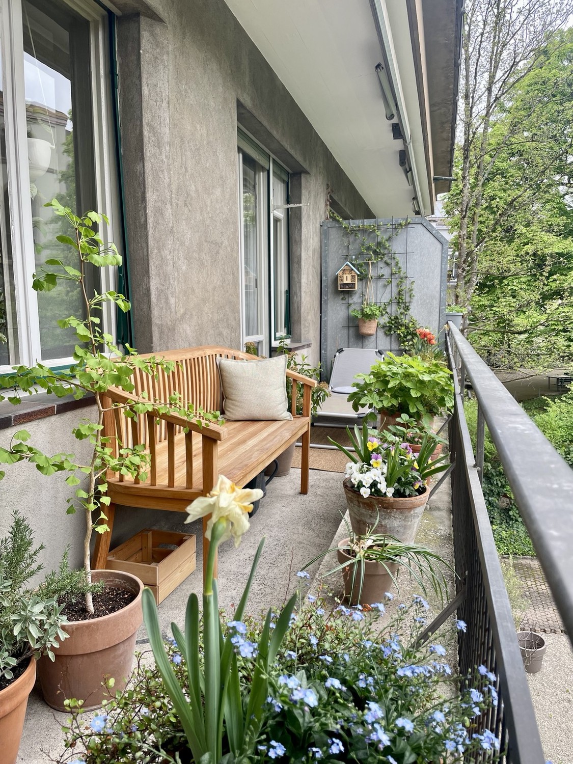 2 ½ Zimmer Wohnung